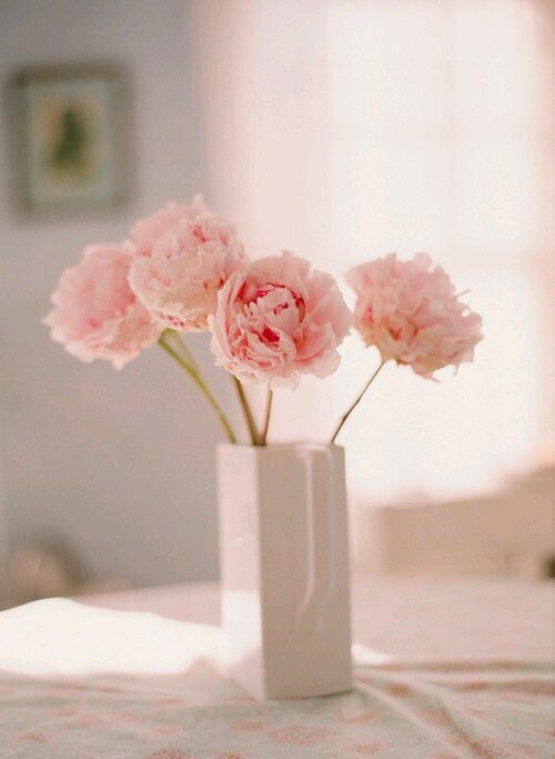 ‏‏‏‏ ∞ المفضلة تحتوي قلمي ..