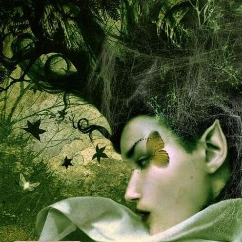 nanny125119's profile picture. nada que ver!! nada que decir!! ;)