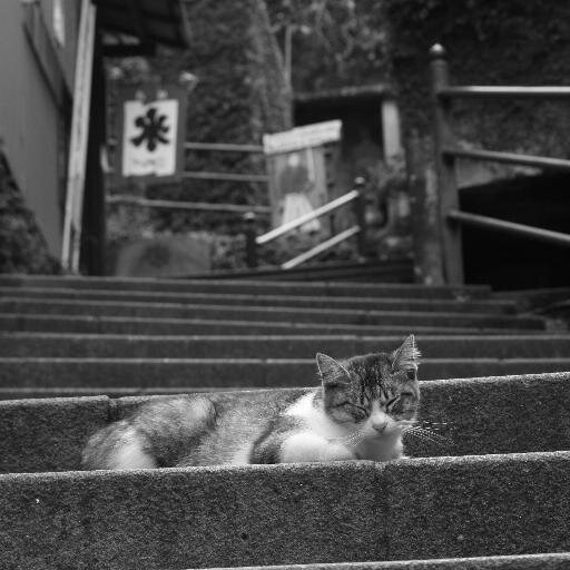 横顔を見ながら。