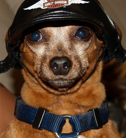 realtormaui's profile picture. Retired and living in Colorado.