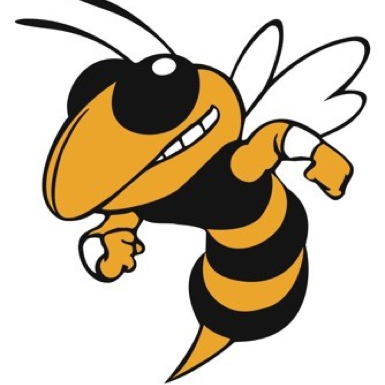 nation_hornet's profile picture. HornetNation twitter page! #HORNETNATION