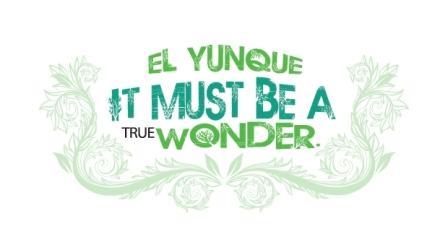 VoteforElYunque's profile picture. We are now on finals! Let's make El Yunque part of the New7Wonders of Nature. Your vote can make wonders. Vote for El Yunque now!