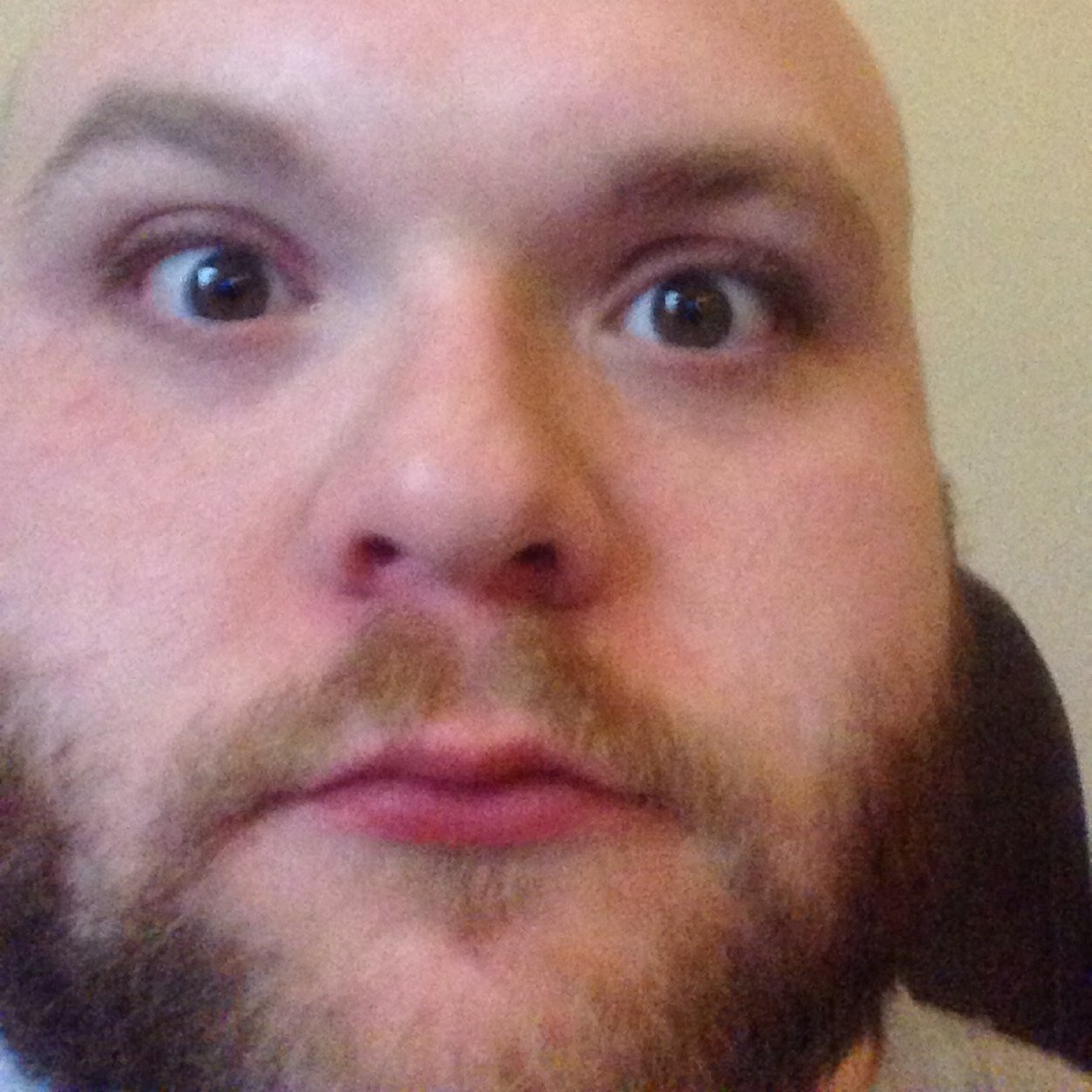 Bjbtaz105's profile picture. 