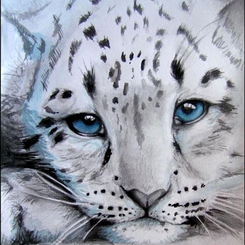 An immortal Snow Leopard. Loves to play, roll around and be petted. I also love to Cuddle. -purrs- Mom: @FaithfulGoddess #RP 18+ #Female