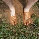 Leslie & Dan Gillman - @gillmaniacs - Twitter