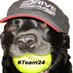 3X8=24 (@3x824) Twitter profile photo