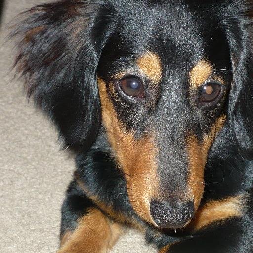 KETrench's profile picture. Business and Social Media Consultant.