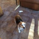 Bobby gandy - @HoustonGandy - Twitter