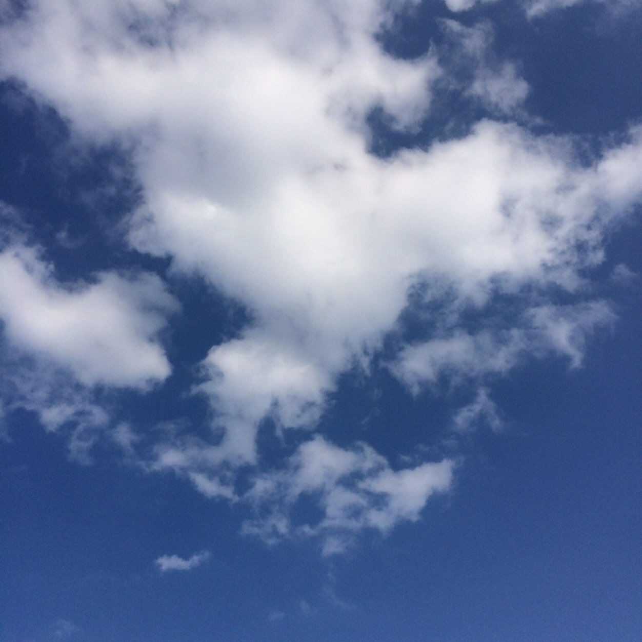 あまり動かない見る専