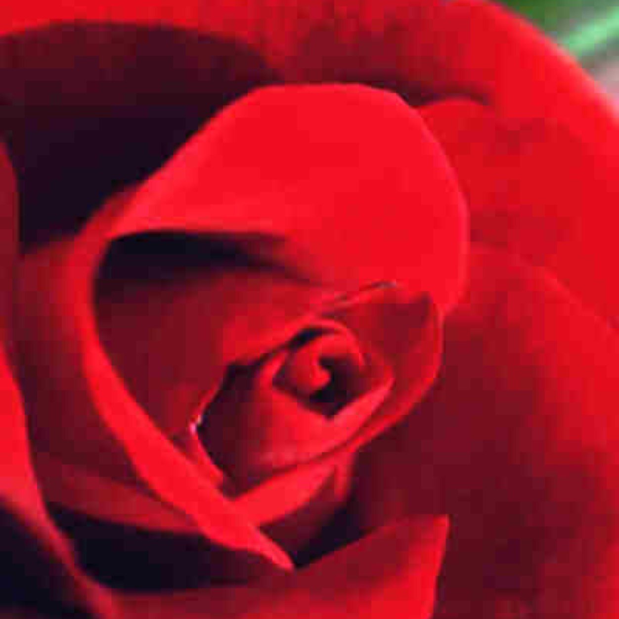 KSecrets2's profile picture. DM this account a secret or something you've always wanted to tell someone . You name will not be mentioned.