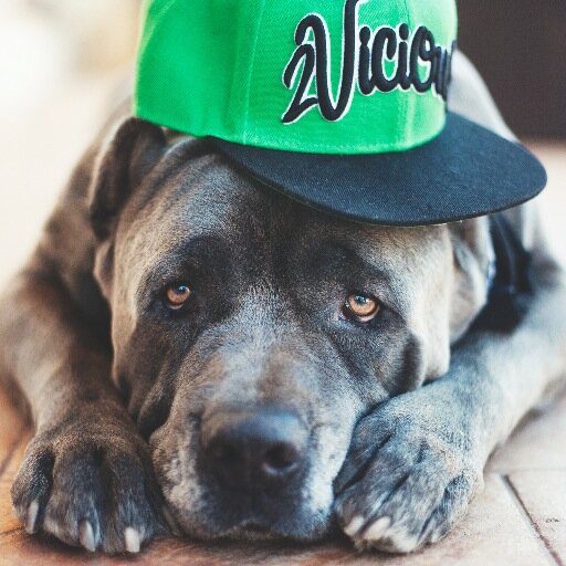 #td4w #liljon @liljon HIGH QUALITY HEADWEAR AND APPAREL FOR PEOPLE WHO LIVE LIFE 2VICIOUS !