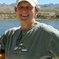 sue bremer (@bremer_sue) 's Twitter Profile Photo