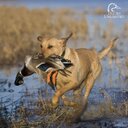 Damon Black - @texasblackdam - Twitter