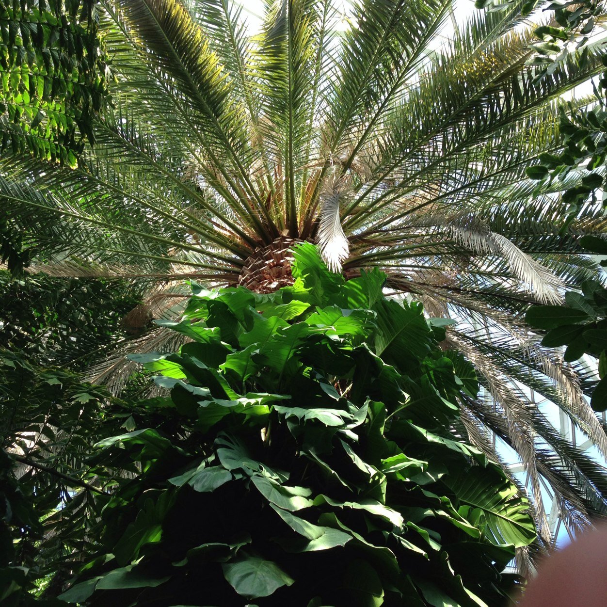 shittingmoney's profile picture. 