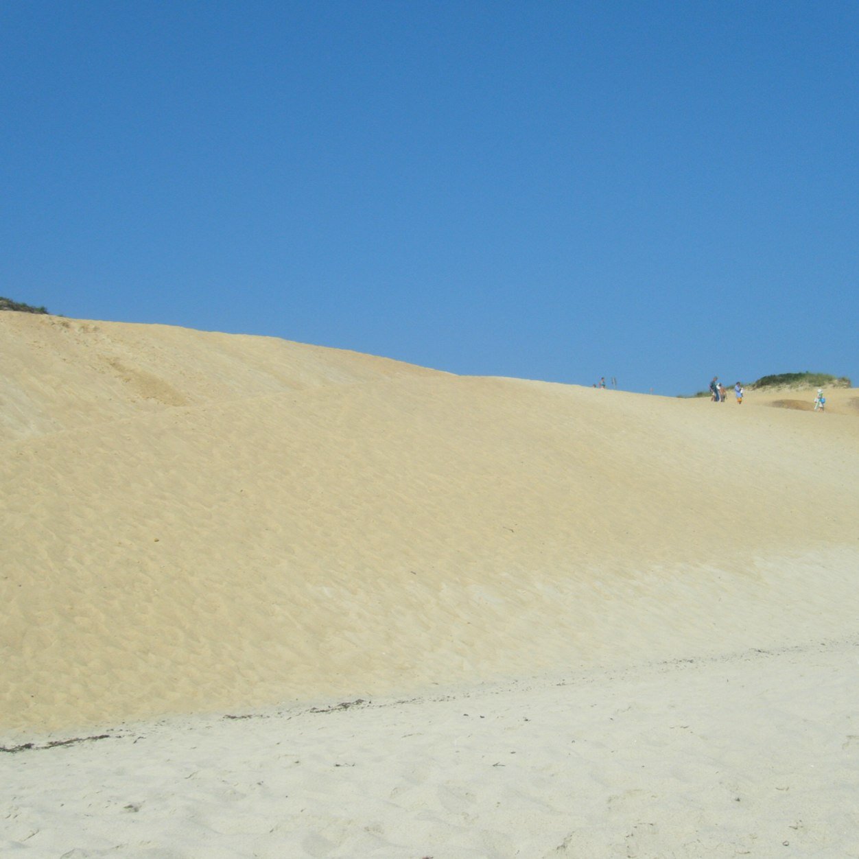 Jjm358's profile picture. 