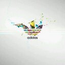 william (@13893194676lzw) Twitter