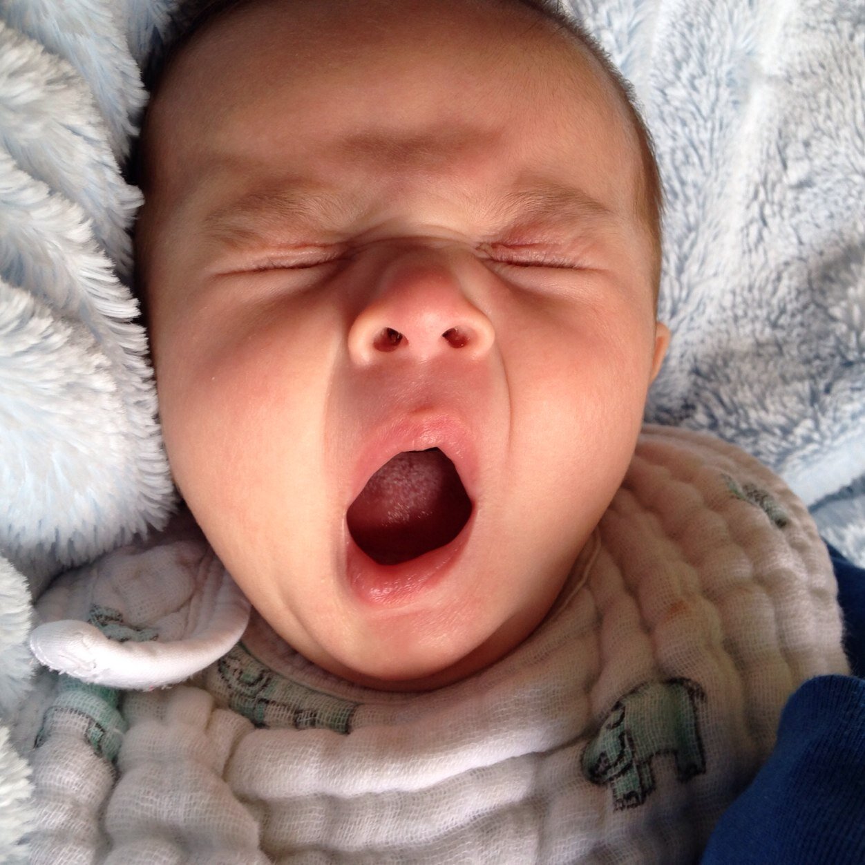 pfunger1's profile picture. Why don't we walk around naked through this global warming?