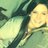 MadisonGarrett7's profile image