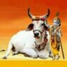 ptpurohit's profile picture. 