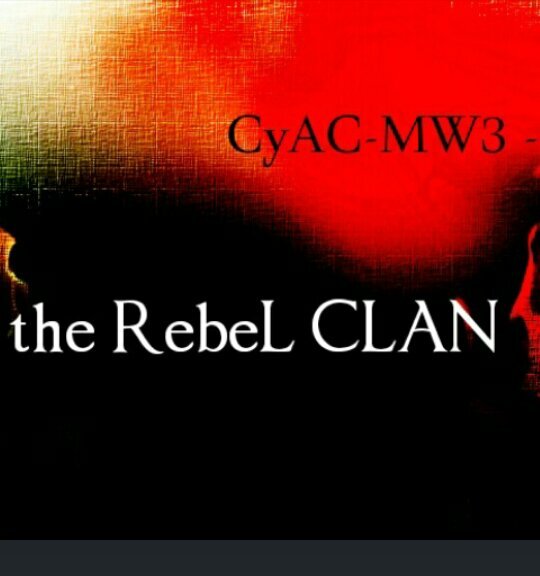 MW3のsearchで活動中。　　　　　　RebeLClan隊長兼人事やってます