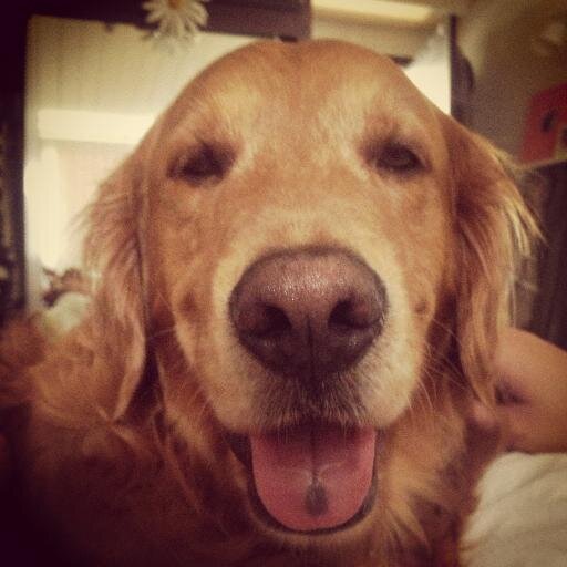 kateyscanlon's profile picture. passionately curious