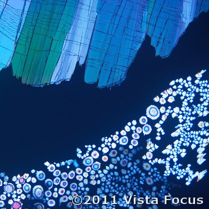 Carol Roullard Artさんのプロフィール画像