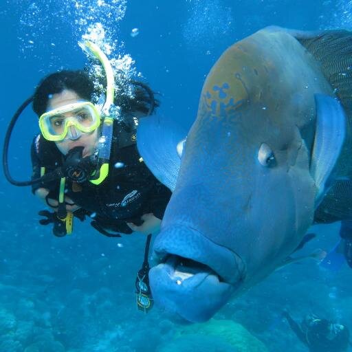 Mentor Leader @hthealthshots | Runner | Scuba Diver | Trekker | Sustainable-living Advocate