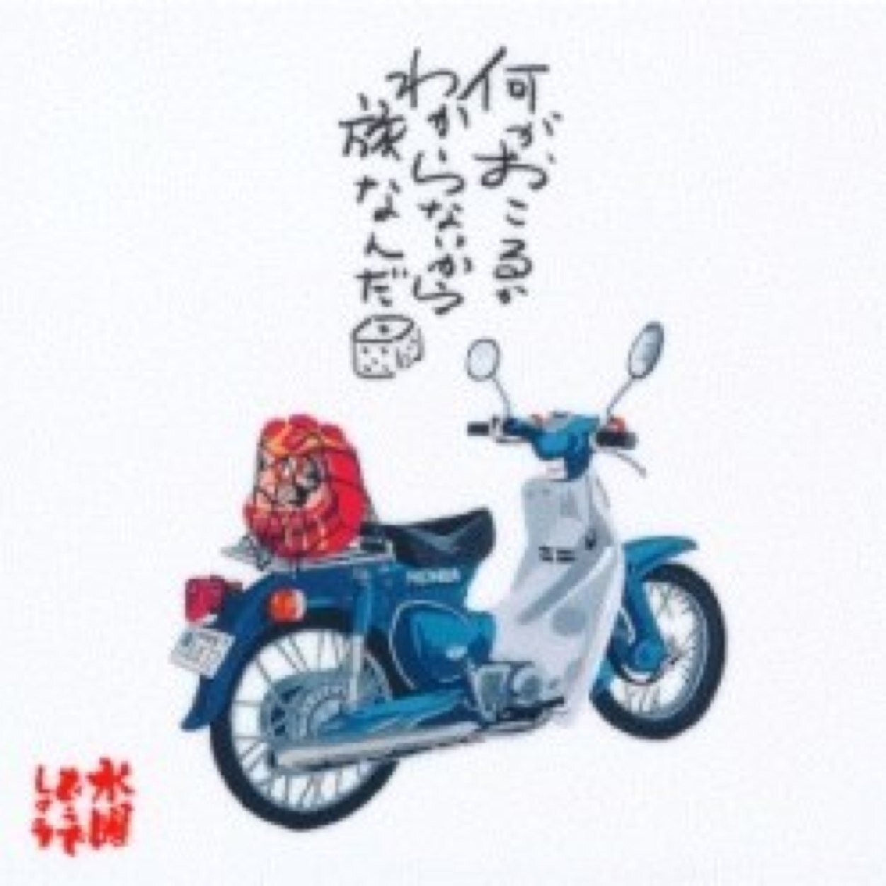 gaitoyaaaaan's profile picture. ラジオ・相棒・神社仏閣が好き。