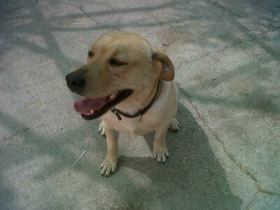 AlexDecusu120's profile picture. 