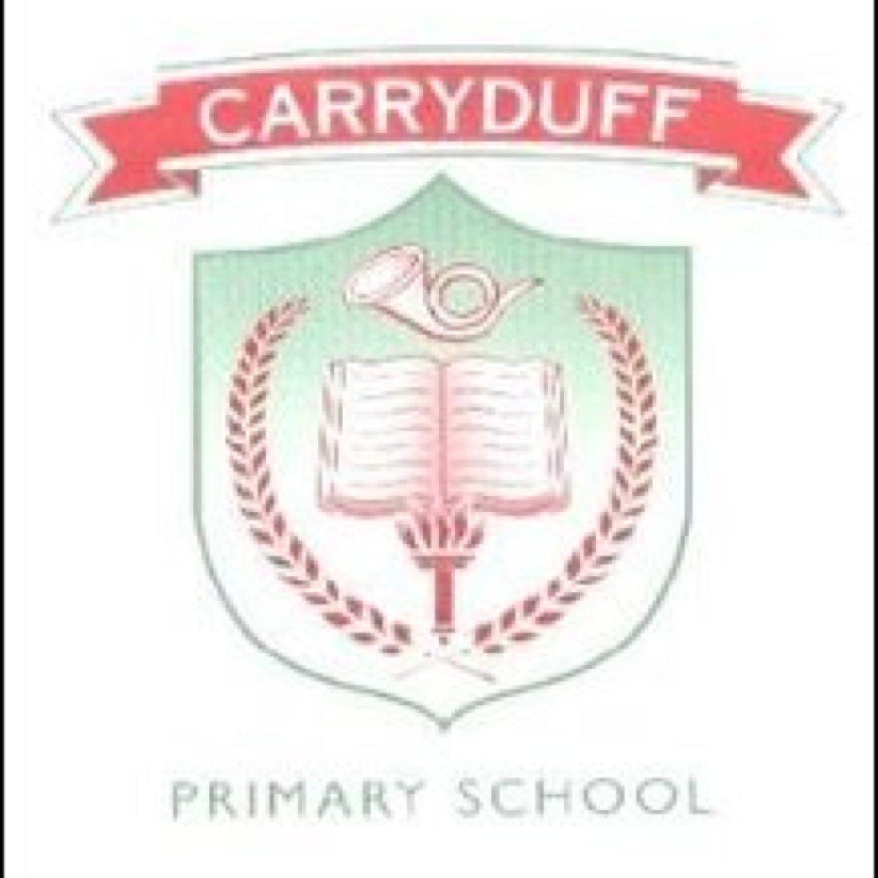 This is the offical Twitter Feed for Carryduff Primary School. Follow us for updates and information about what's happening in our school.