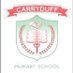 Carryduff P.S (@carryduffps) Twitter profile photo