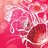 spi1127's profile image