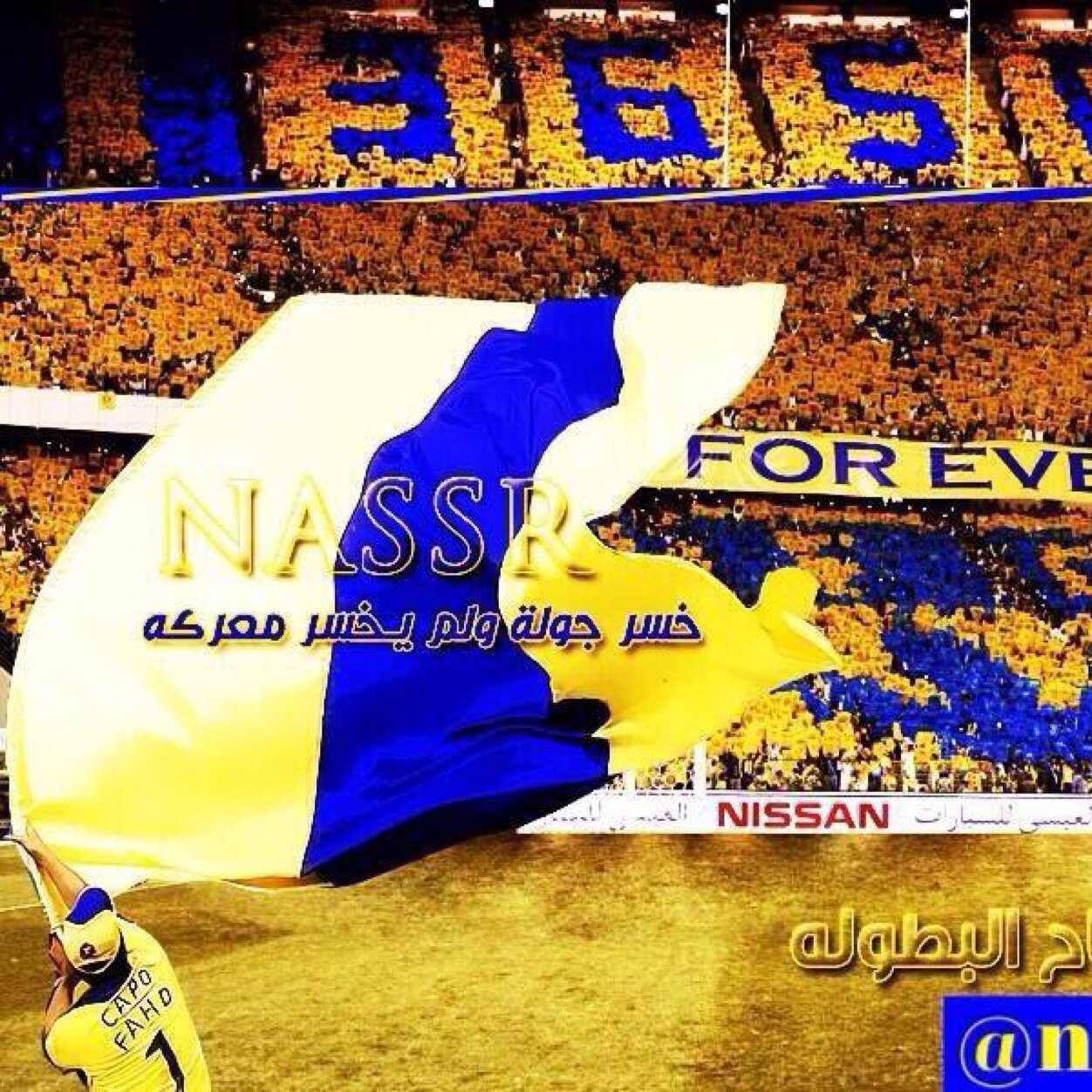 5n9696's profile picture. 