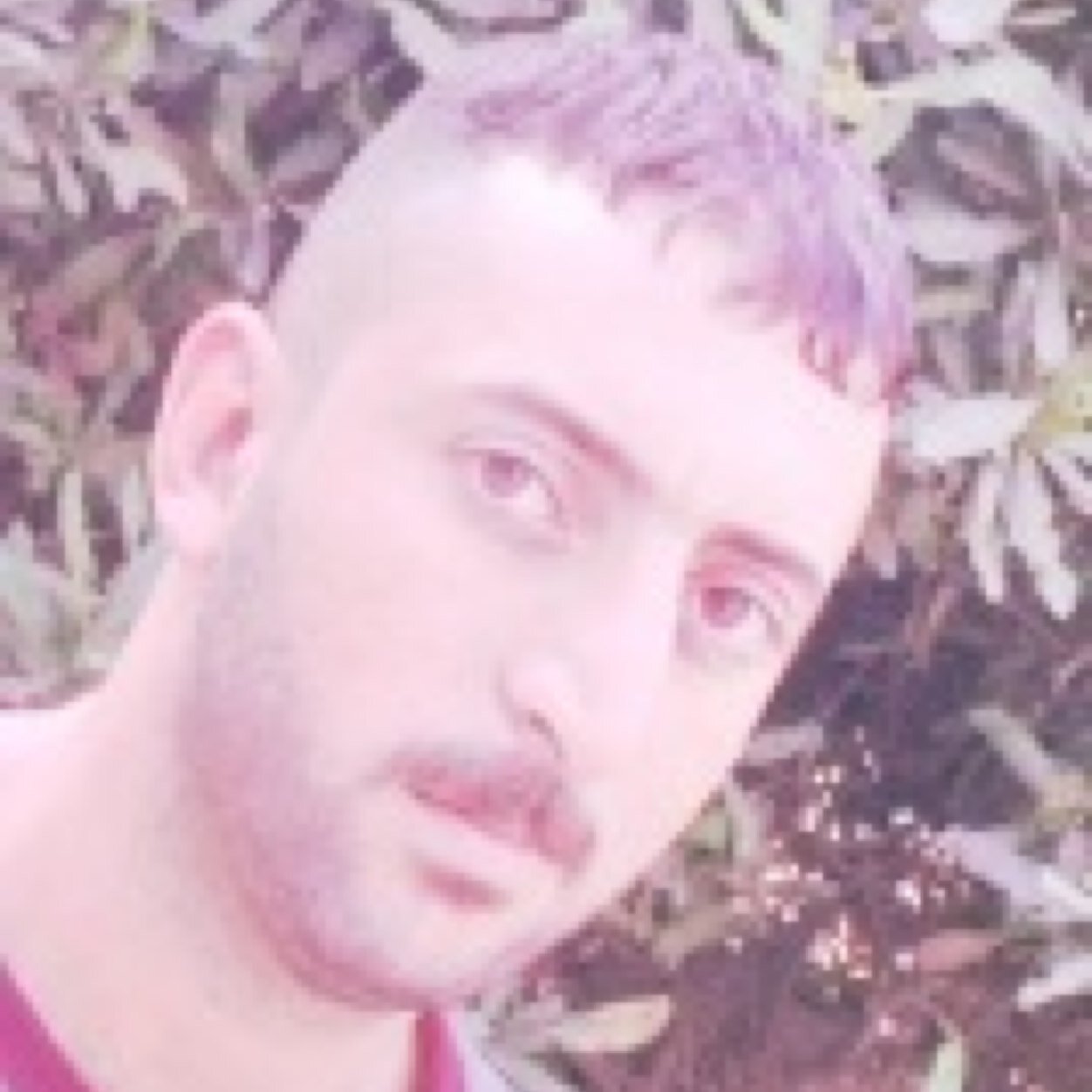 ليث الهاشمي