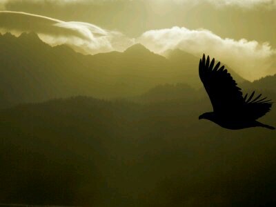 ...humanity & harmony above all.