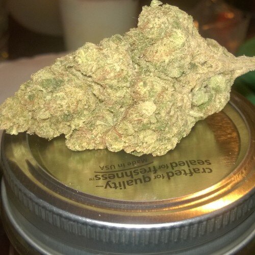 Mary Jane is my Best friend!