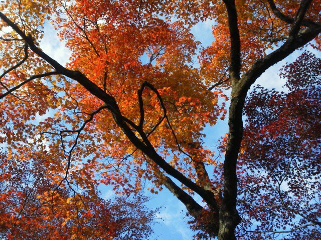 embeded3's profile picture. 新高３   河合塾マナビス   勉強頑張りたい