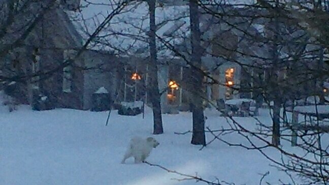 LBMS_Eagles's profile picture. 