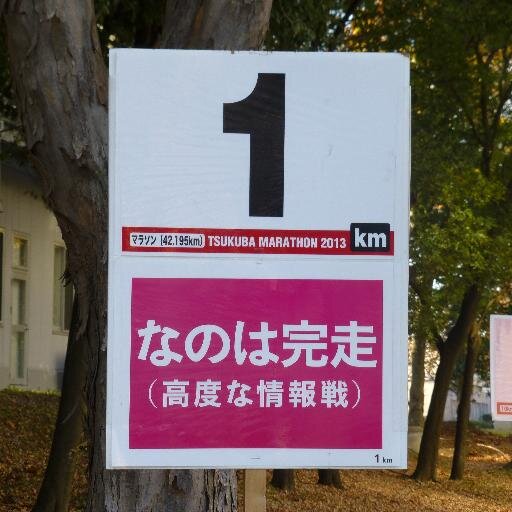 小日向美穂 高森藍子担当