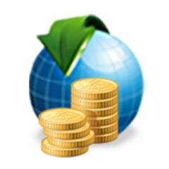 Financial Consultant