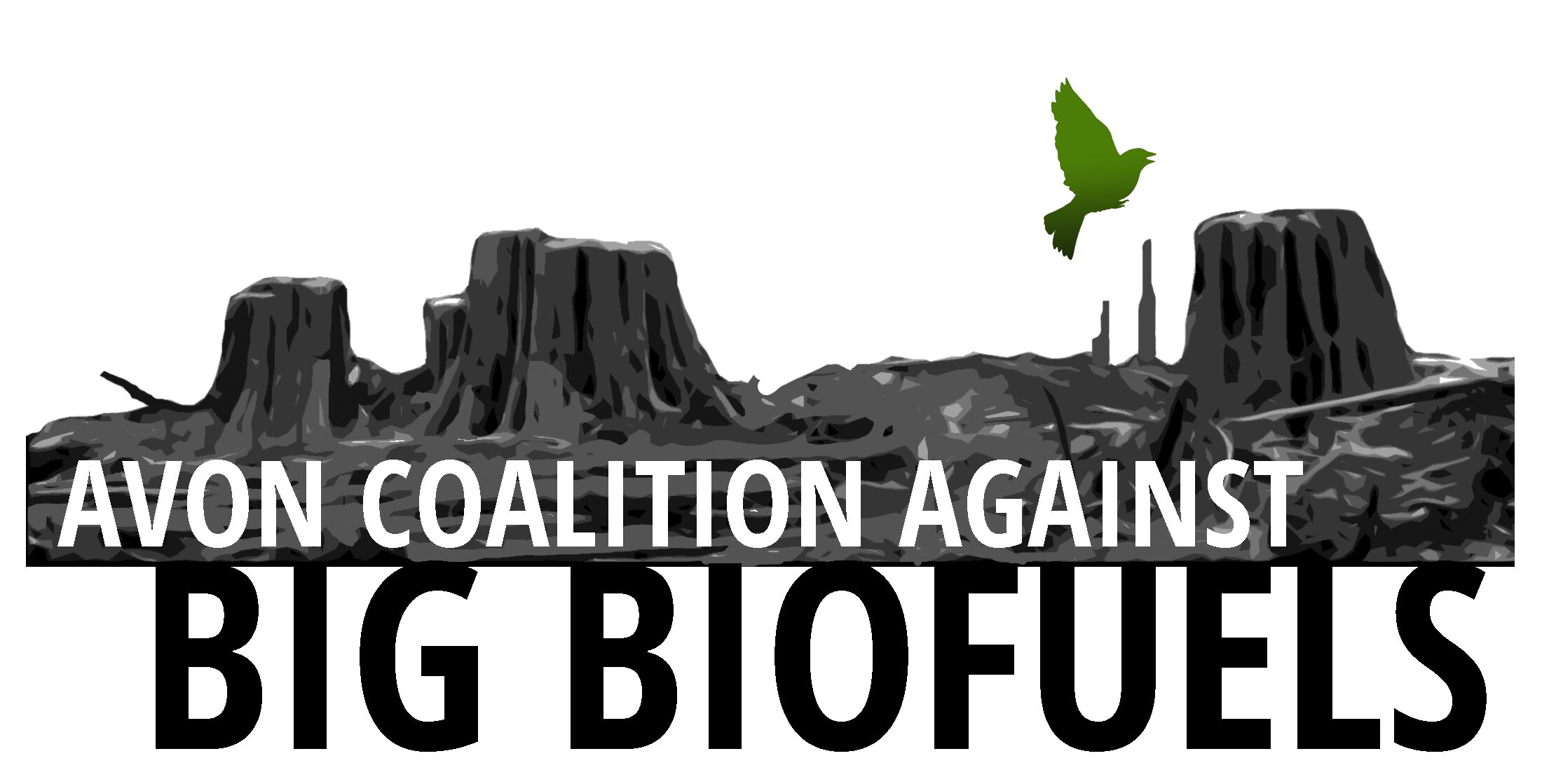 We oppose big biofuels projects including the Helius, W4B, Nexttera Power Stations proposed for Avonmouth because of their social and environmental harm.
