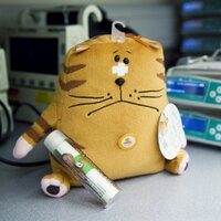 CATS (@catsretrieval) 's Twitter Profile