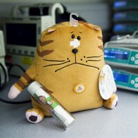 CATS(@catsretrieval) 's Twitter Profileg