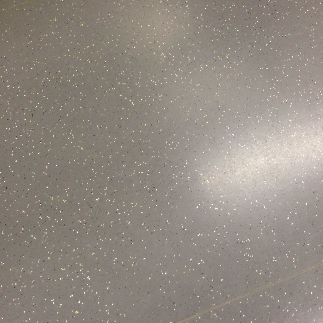 forreference8's profile picture. 