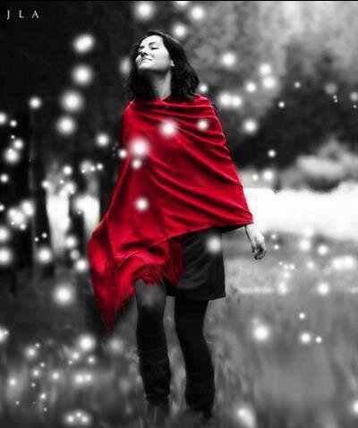 srijareddy5's profile picture. 