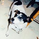 al hammer - @alhammer128 - Twitter