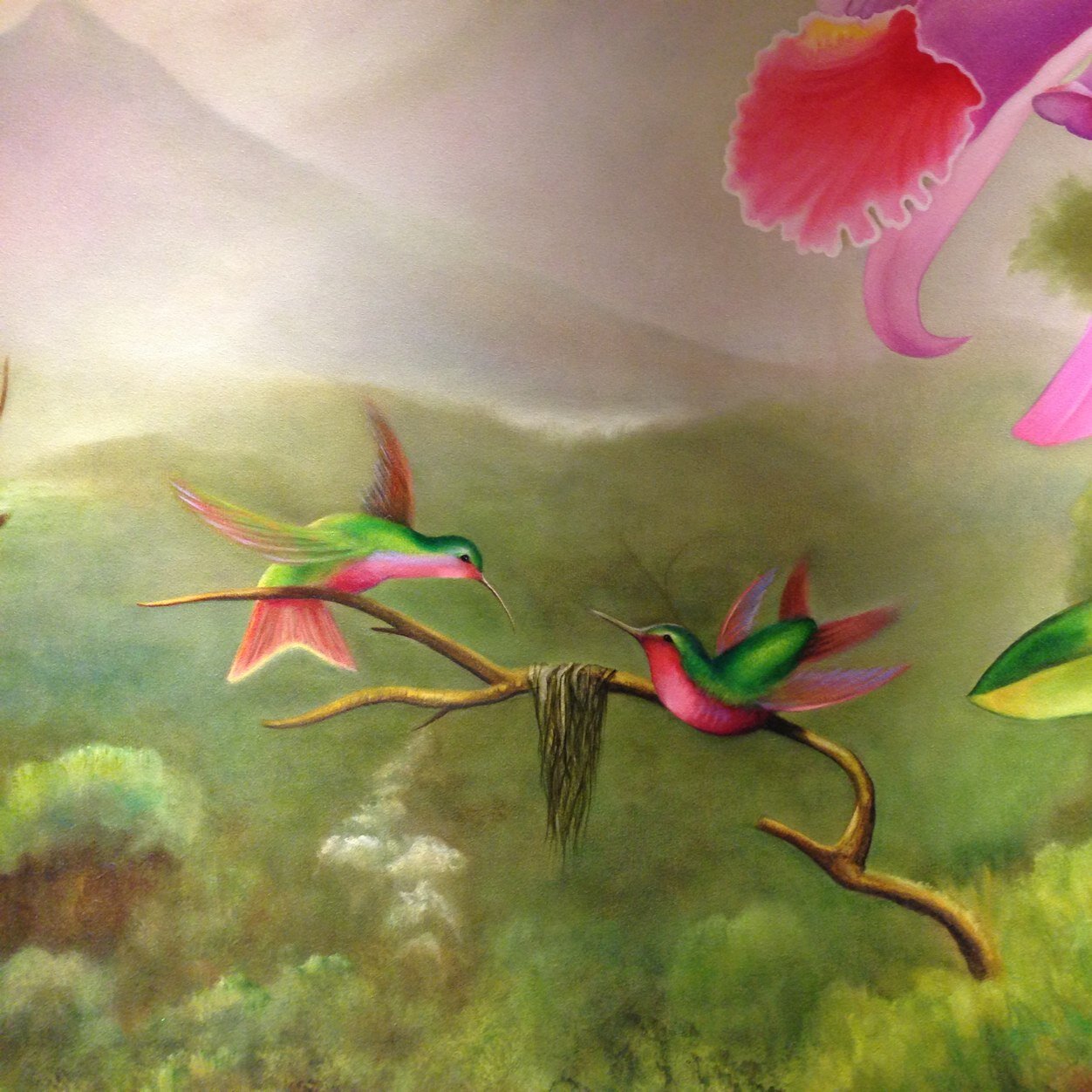 Babeabbe's profile picture. lover of my family diamond gem dealer Trader love Amazon Food Bussiness Love my animals want America safe for my family and safety of our country 🇺🇸❤️