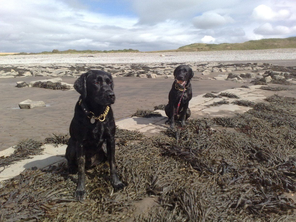 tanzy_95's profile picture. 