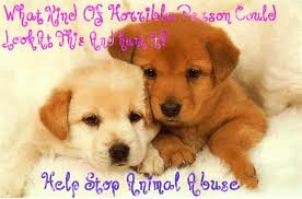 I love animals, hate cruelty and opposed to any animal testing or mistreatment.