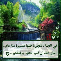 سبحان الله (@0566666666a) 's Twitter Profile